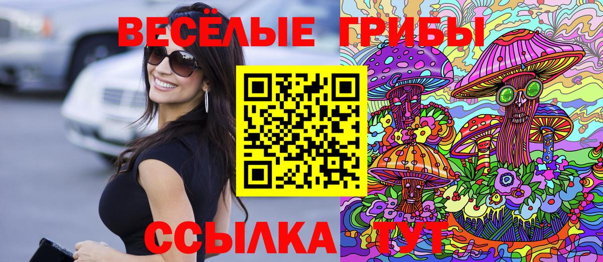 Галлюциногенные грибы мухоморы Тобольск
