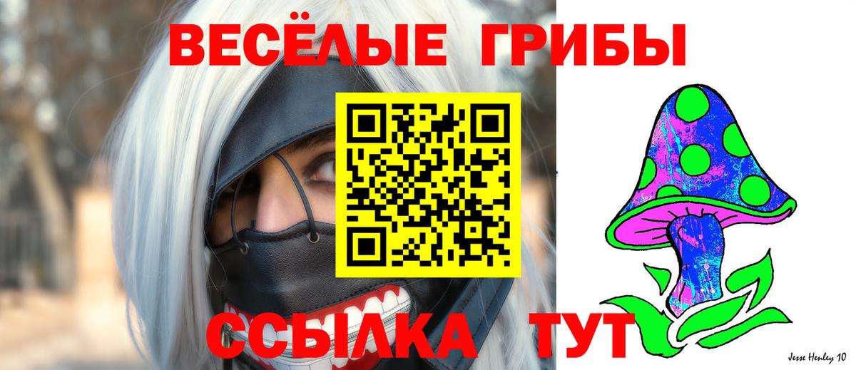 Псилоцибиновые грибы Psilocybe  Вход с VPN  Галлюциногенные грибы мухоморы  Тобольск 